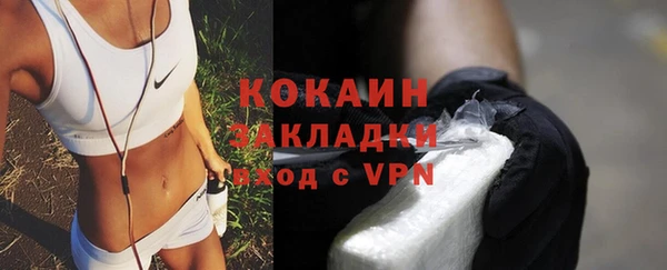 молекула духа Алексин