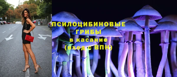 ПСИЛОЦИБИНОВЫЕ ГРИБЫ Всеволожск