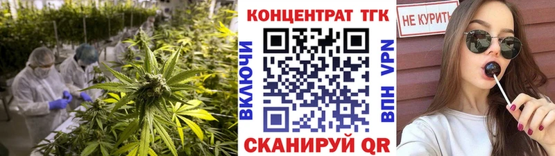 ТГК концентрат  Мураши 