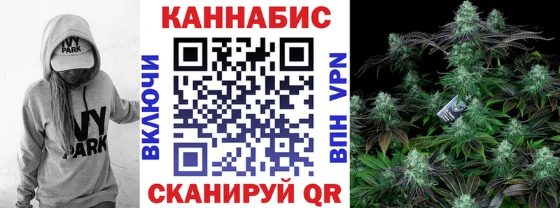 Конопля Amnesia  Мураши 